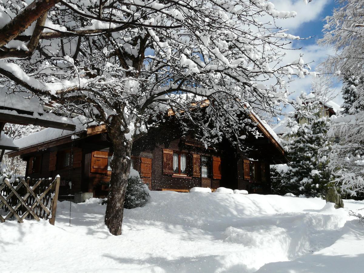 Chalet Des Glaciers Chamonix Zewnętrze zdjęcie