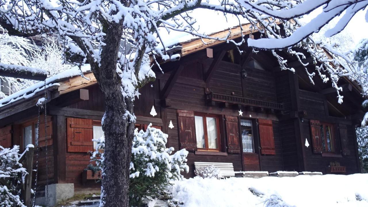 Chalet Des Glaciers Chamonix Zewnętrze zdjęcie